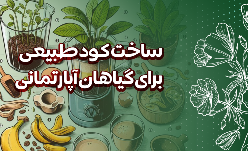  ساخت کود طبیعی برای گیاهان آپارتمانی