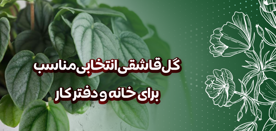 گل قاشقی انتخابی مناسب برای خانه و دفتر کار