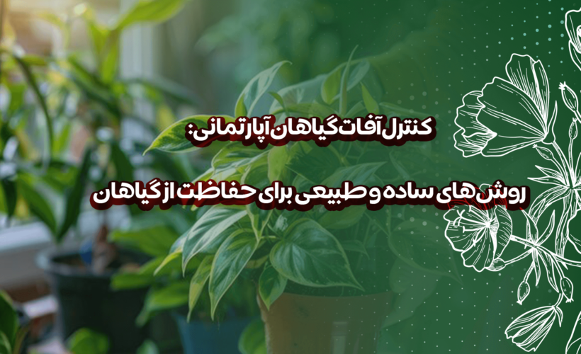 کنترل آفات گیاهان آپارتمانی