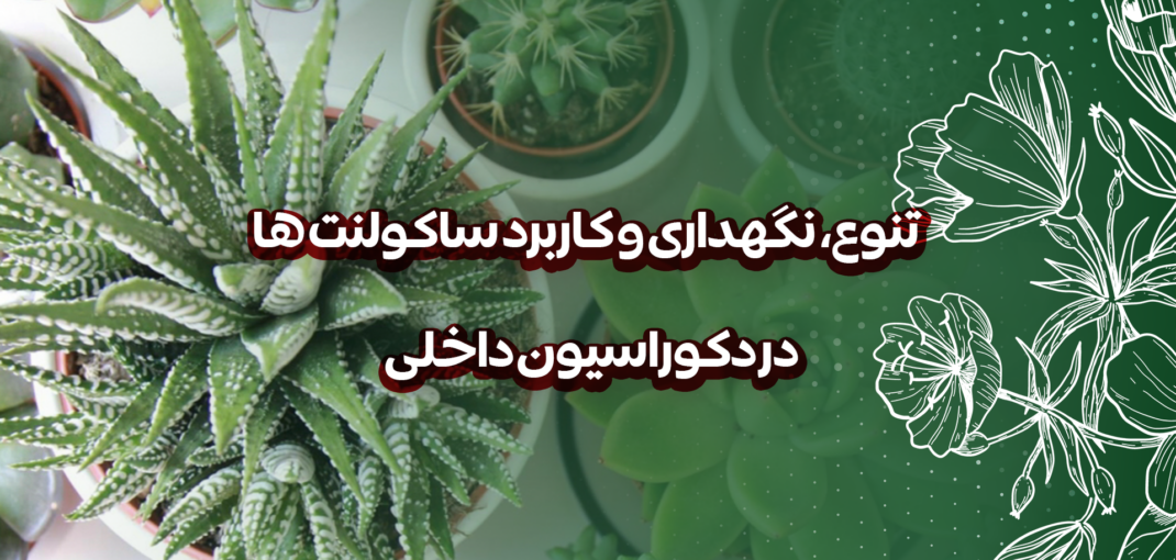 تنوع، نگهداری و کاربرد ساکولنت ها در دکوراسیون داخلی