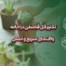 تکثیر گل قاشقی در خانه