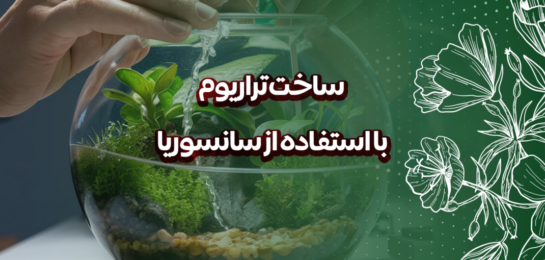 ساخت تراریوم با استفاده از سانسوریا