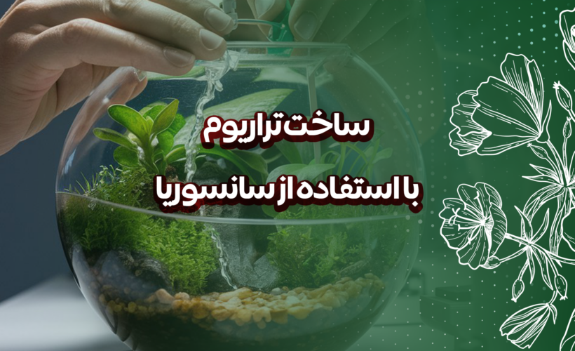 ساخت تراریوم با استفاده از سانسوریا