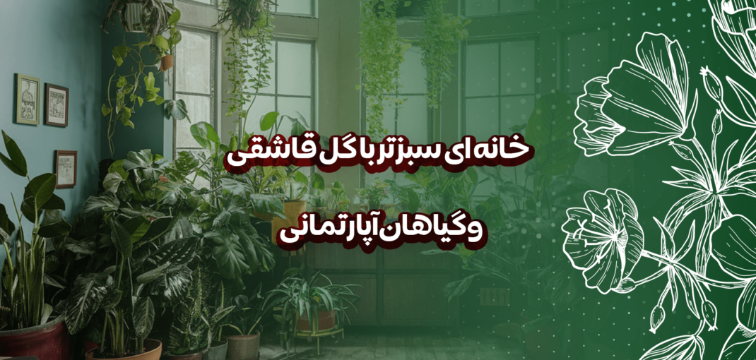 خانه ای سبزتر با گل قاشقی و گیاهان آپارتمانی