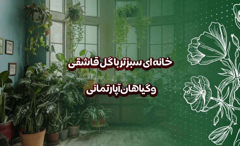 خانه ای سبزتر با گل قاشقی و گیاهان آپارتمانی