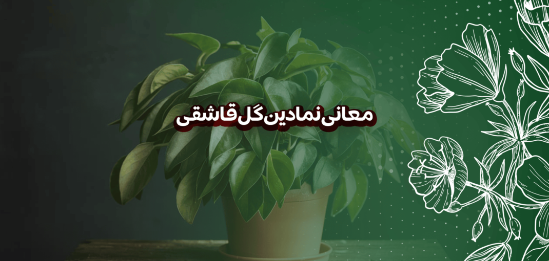 معانی نمادین گل قاشقی