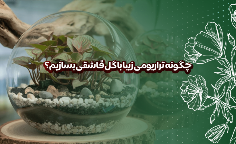 تراریوم گل قاشقی